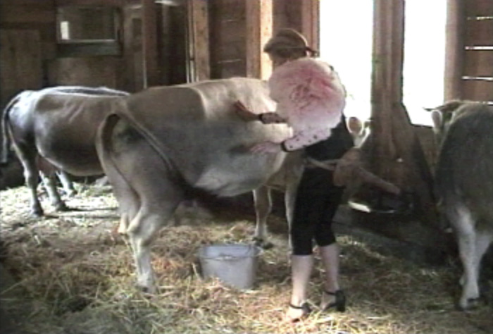 Milking the Swiss Cow | 1999